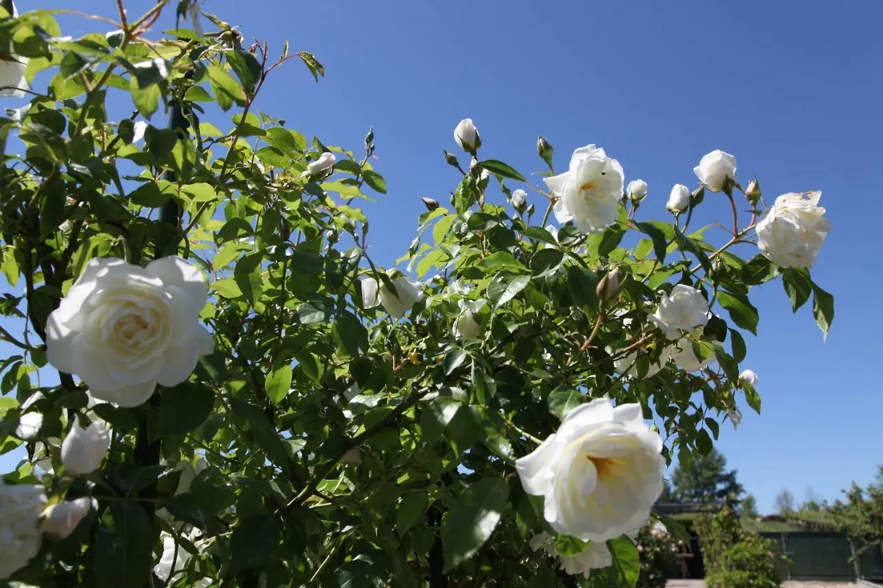 Farm stay Casa San Marco Villa Castelnuovo del Garda