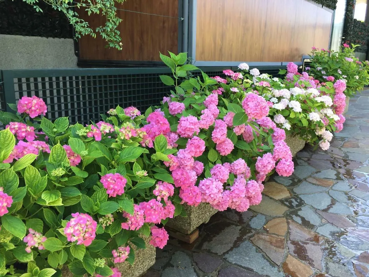 Farm stay Casa San Marco Villa Castelnuovo del Garda Italy