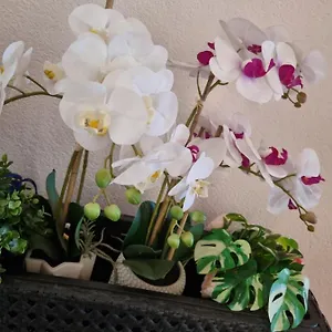 alloggio-orchidea-monfalcone.hotelslidodijesolo.com/