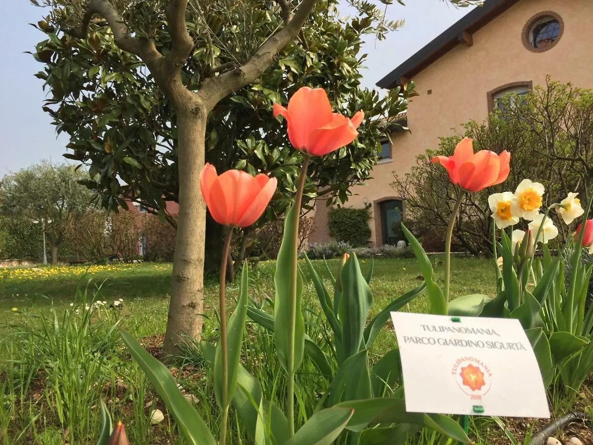 Casa San Marco Βίλα Castelnuovo del Garda